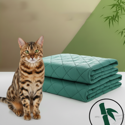 2 tapis empilés avec Chat du Bengale