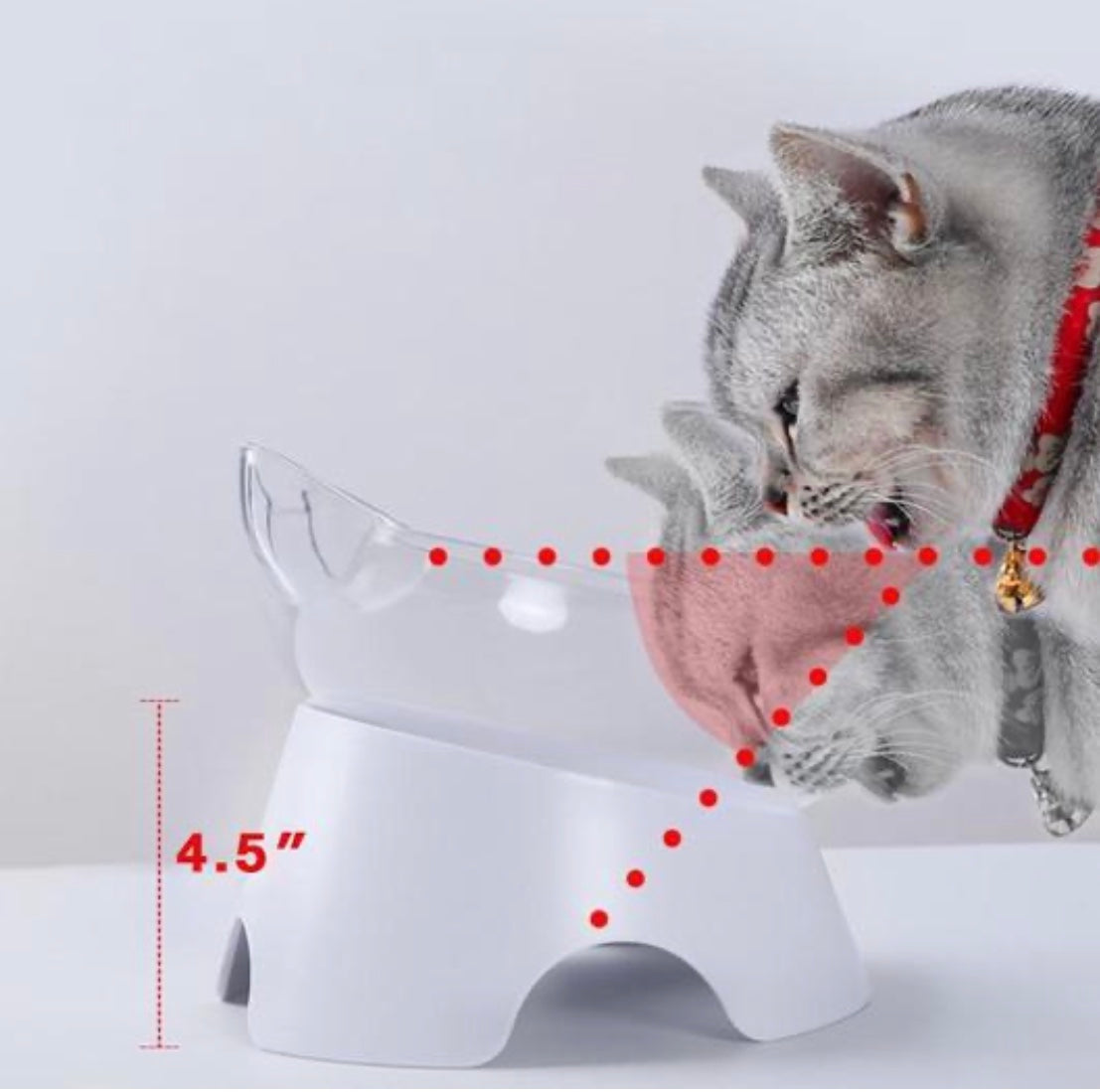Gamelle Orthopédique Anti-Vomissement 2-en-1 pour Chat