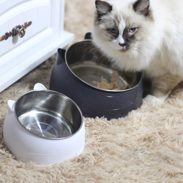 Gamelle Pastel pour Chat – Design Élégant & Matériaux Sûrs