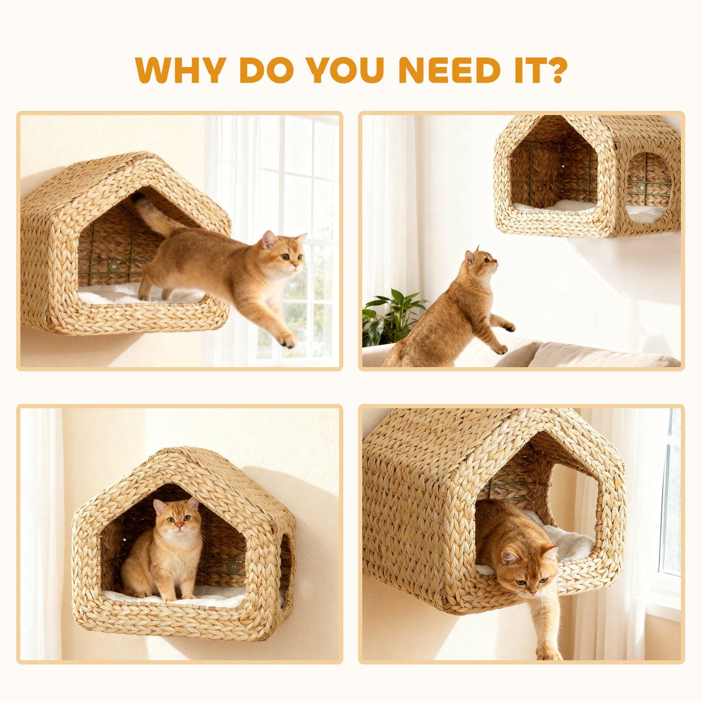 Maison Murale pour Chat – Étagère Design & Espace de Repos